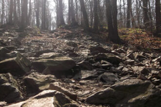 Uwaga zmiana harmonogramu startu