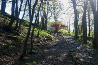 Przegląd trasy (606 zgłoszonych)